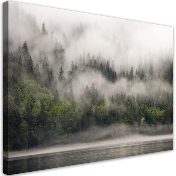 Obraz na plátne Les v hmle