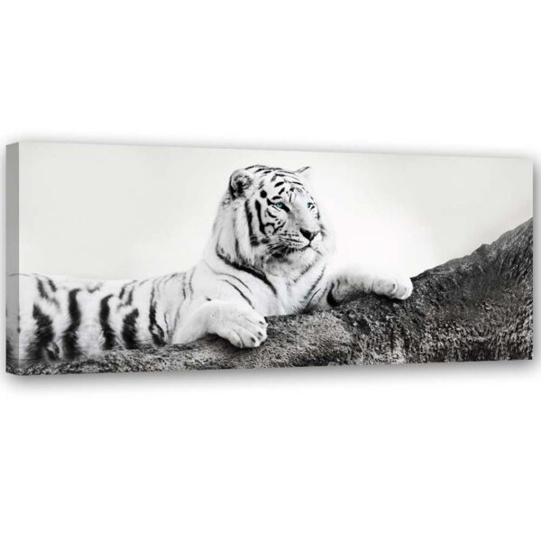 Obraz na plátne, Pozorný tiger