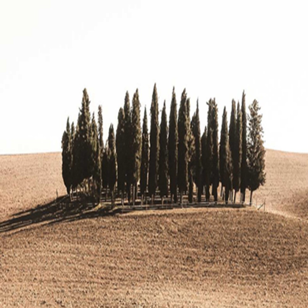 Delič izieb obojstranný, Toscana - 180x170 – Obrázok 3