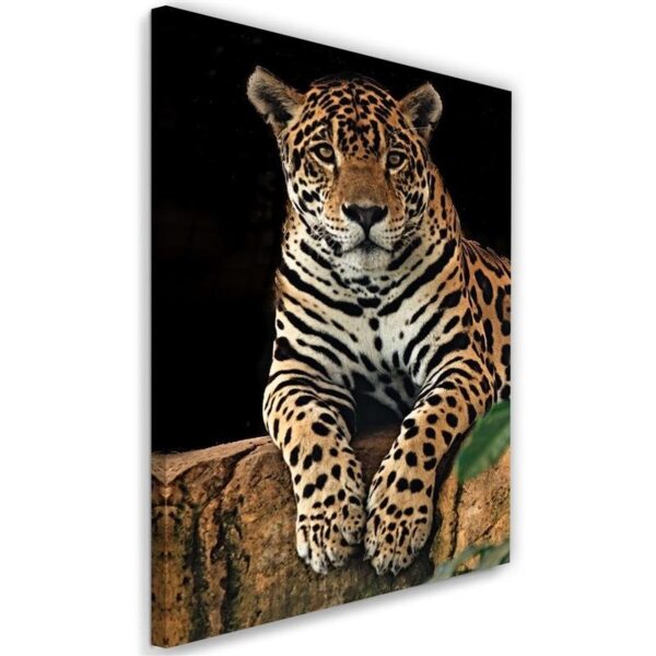 Obraz na plátne, Leopard v pokoji