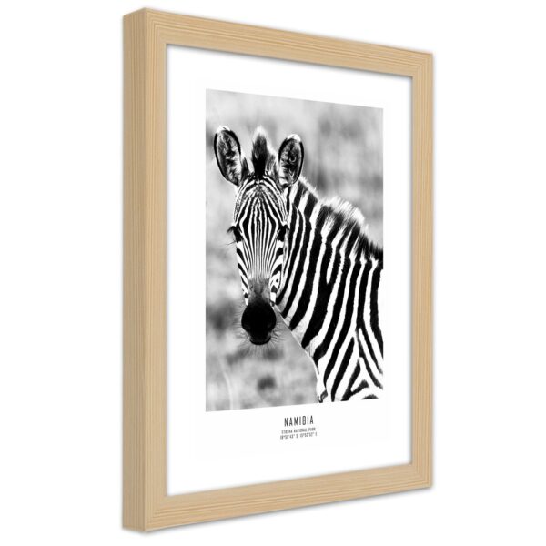 Obraz v prirodzenom ráme, Curious zebra