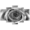 2d165e6b4eec202da1b867c66a2401db
