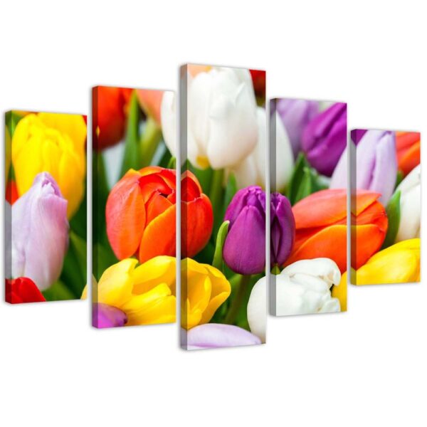 Päťdielna tlač na plátne, farebné tulipány