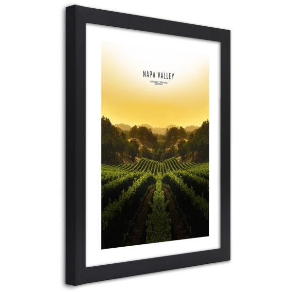 Obraz v čiernom ráme, Vineyards in napa valley