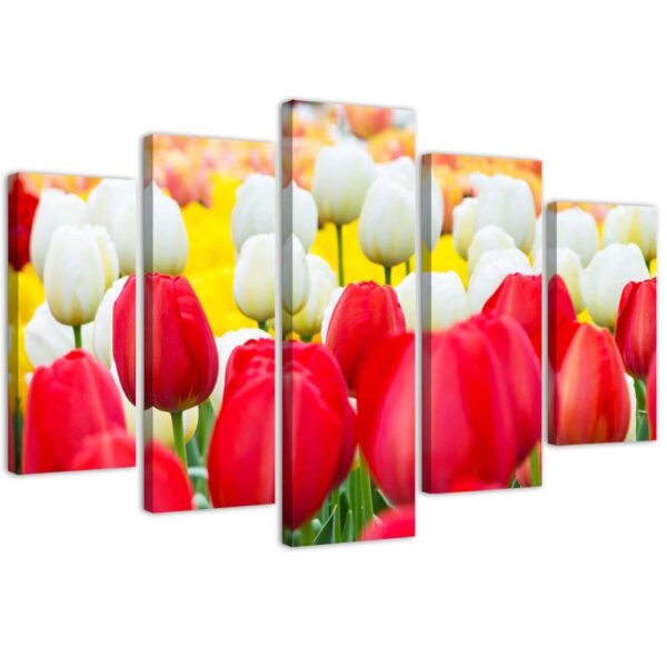 Päťdielna tlač na plátne, biele a červené tulipány