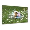 H1361M_PC1B_120x80cm