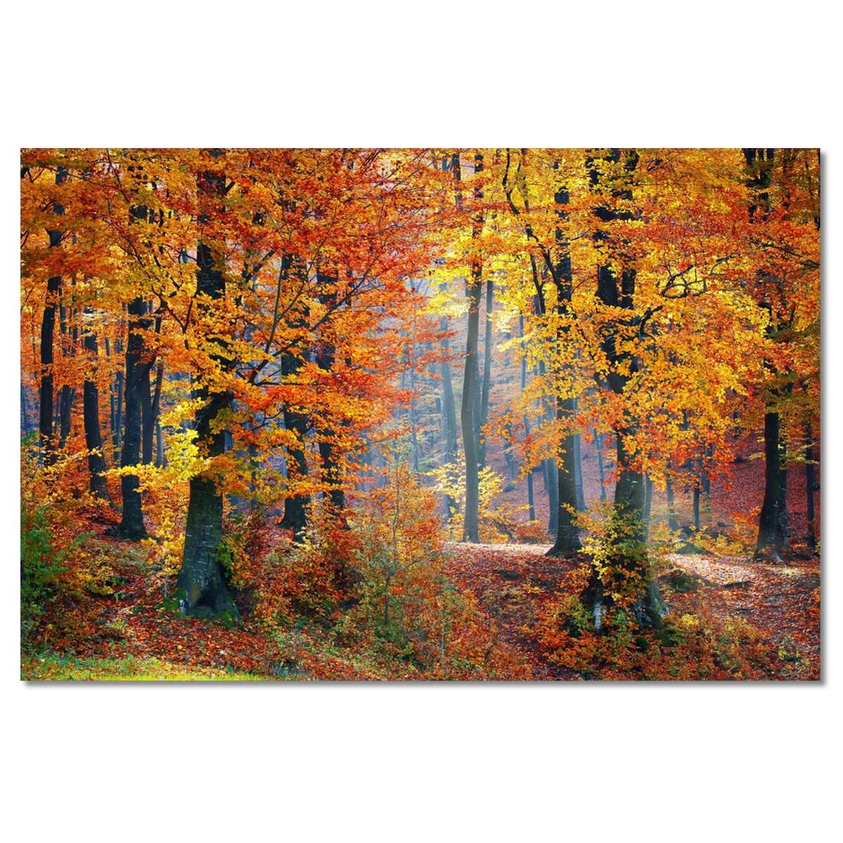 H1672M_PC1B_120x80cm