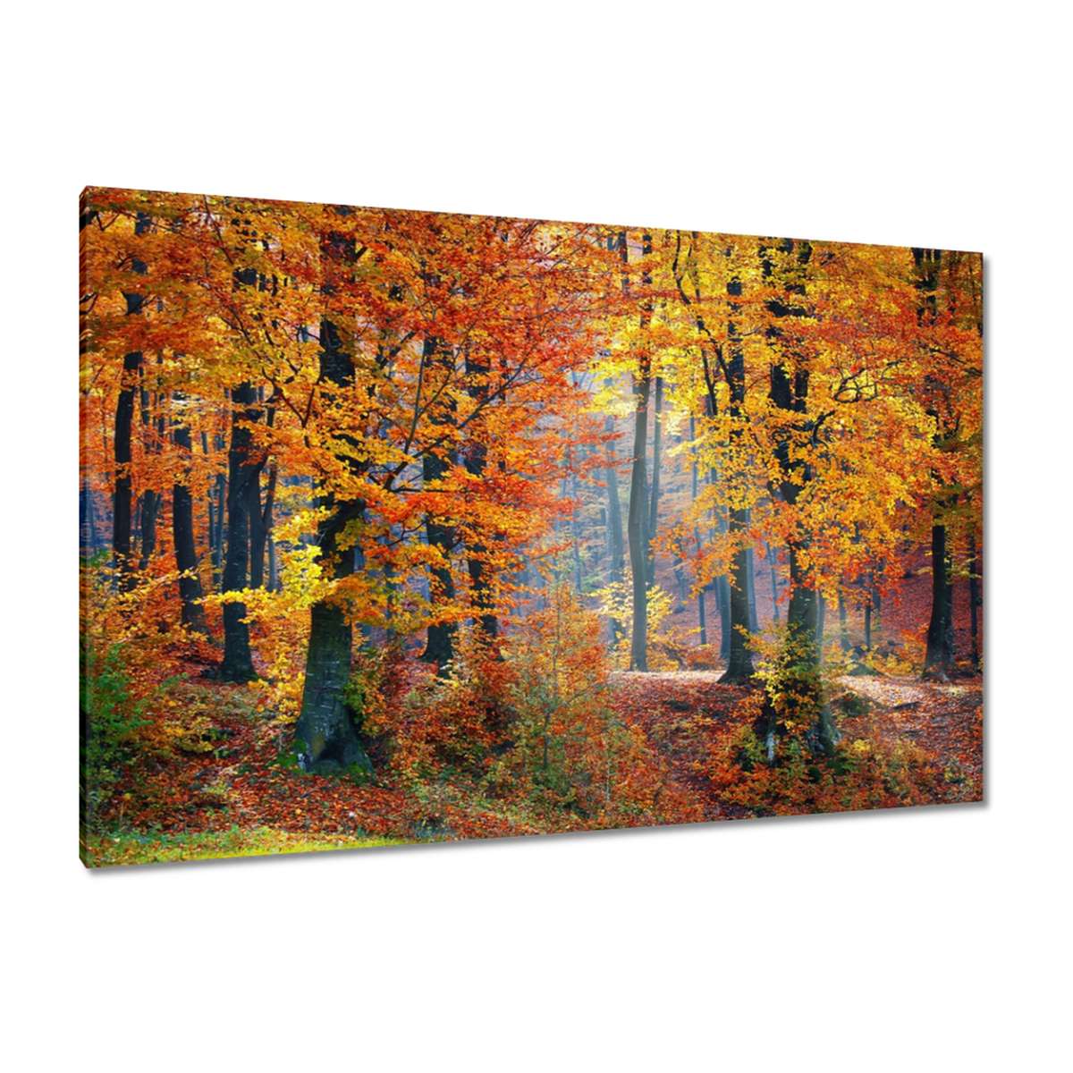 H1672M_PC1B_120x80cm