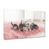 H4043M_PC1B_120x80cm