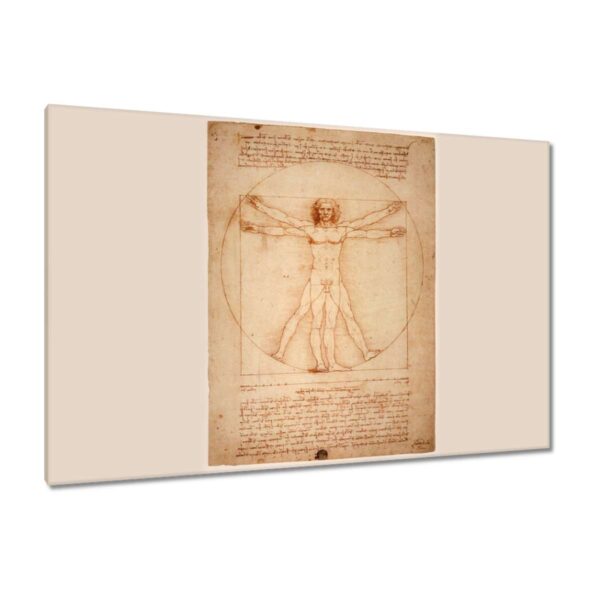 Obraz Vitruviánsky muž da Vinci