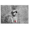 H6907M_PC1B_120x80cm