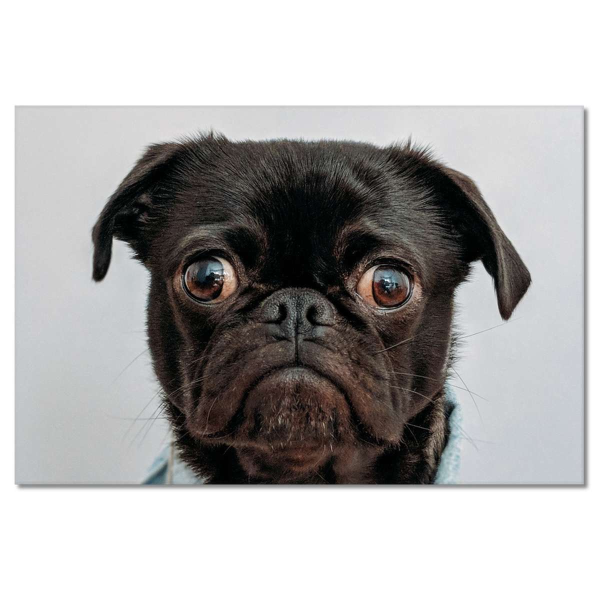 H7505M_PC1B_120x80cm
