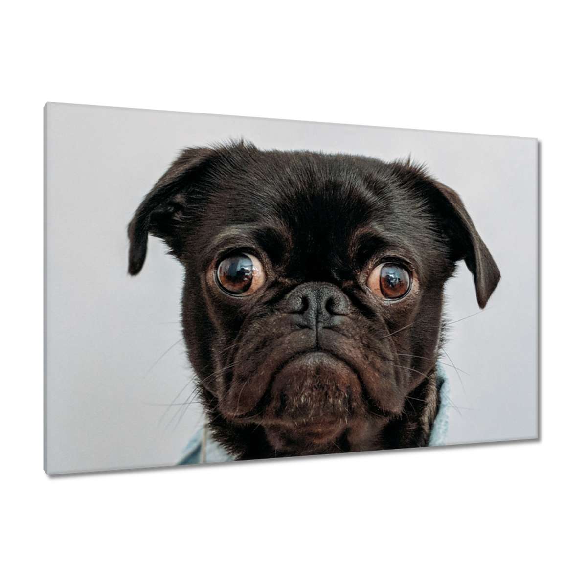 H7505M_PC1B_120x80cm