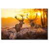 H786M_PC1B_120x80cm