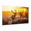 H786M_PC1B_120x80cm