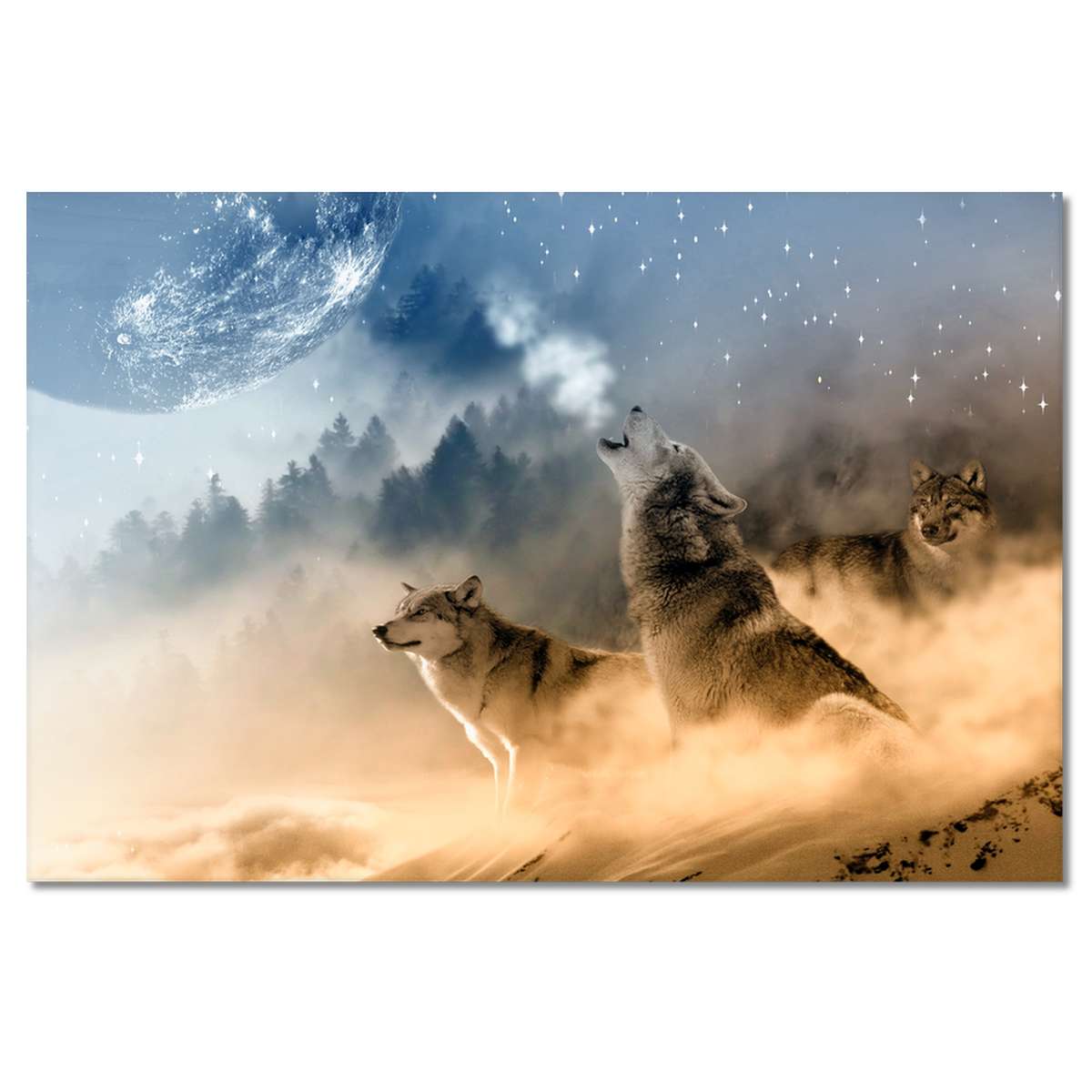 H8419M_PC1B_120x80cm