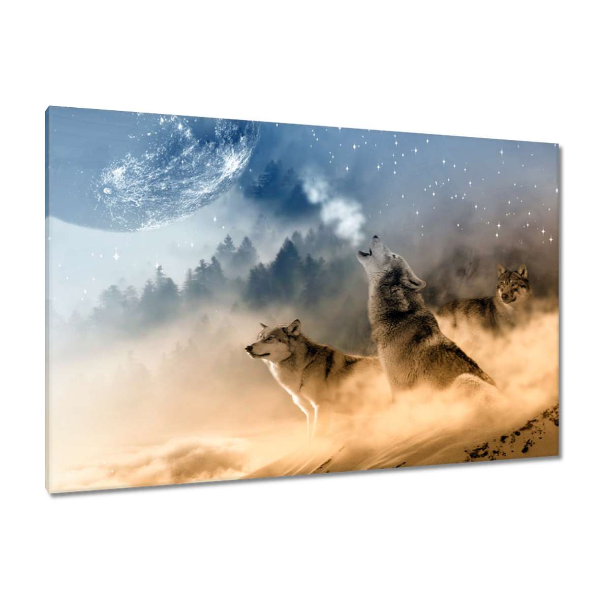 H8419M_PC1B_120x80cm