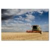 H8484M_PC1B_120x80cm