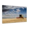 H8484M_PC1B_120x80cm