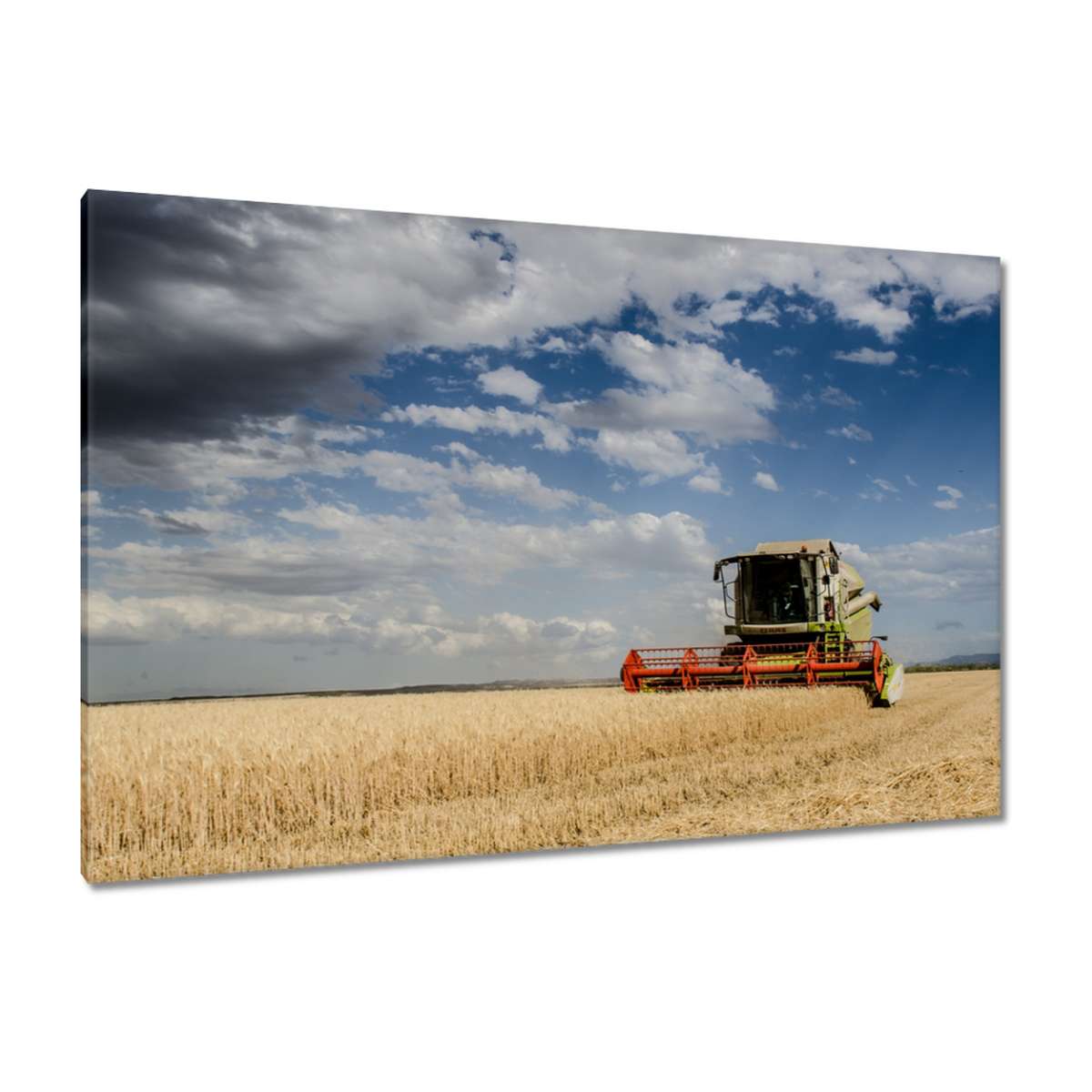 H8484M_PC1B_120x80cm